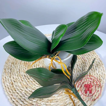 Nova Simulacija Biljke Phalaenopsis List Ukrasno Cvijeće Pomoćni Materijal Cvjetnih Dekoracija Orhideje Ostavlja Mikro Krajolik